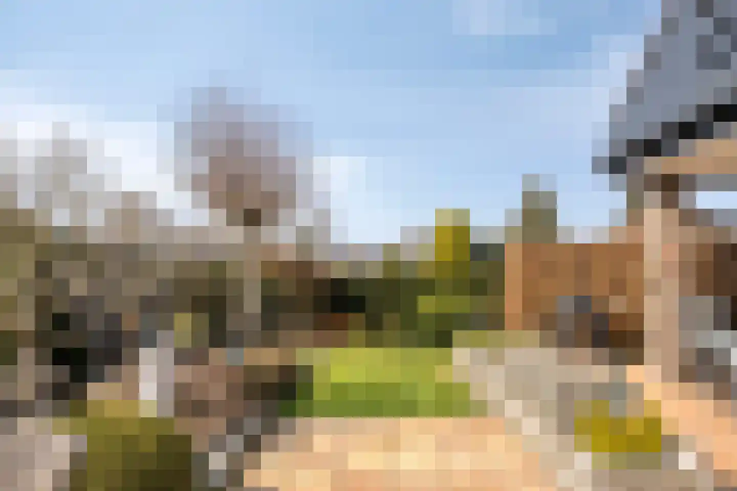 Europalaan-Oost 37 Herkenbosch thumbnail 44