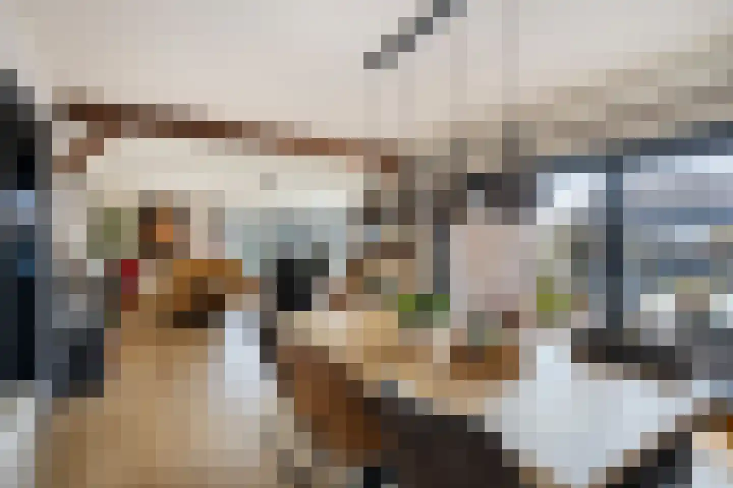 Europalaan-Oost 37 Herkenbosch thumbnail 9