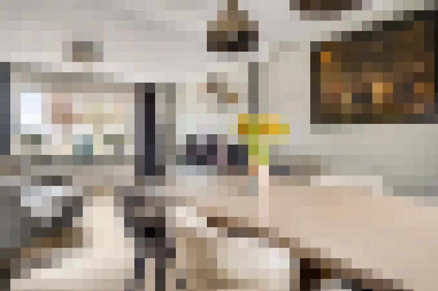 Europalaan-Oost 50 Herkenbosch thumbnail 16