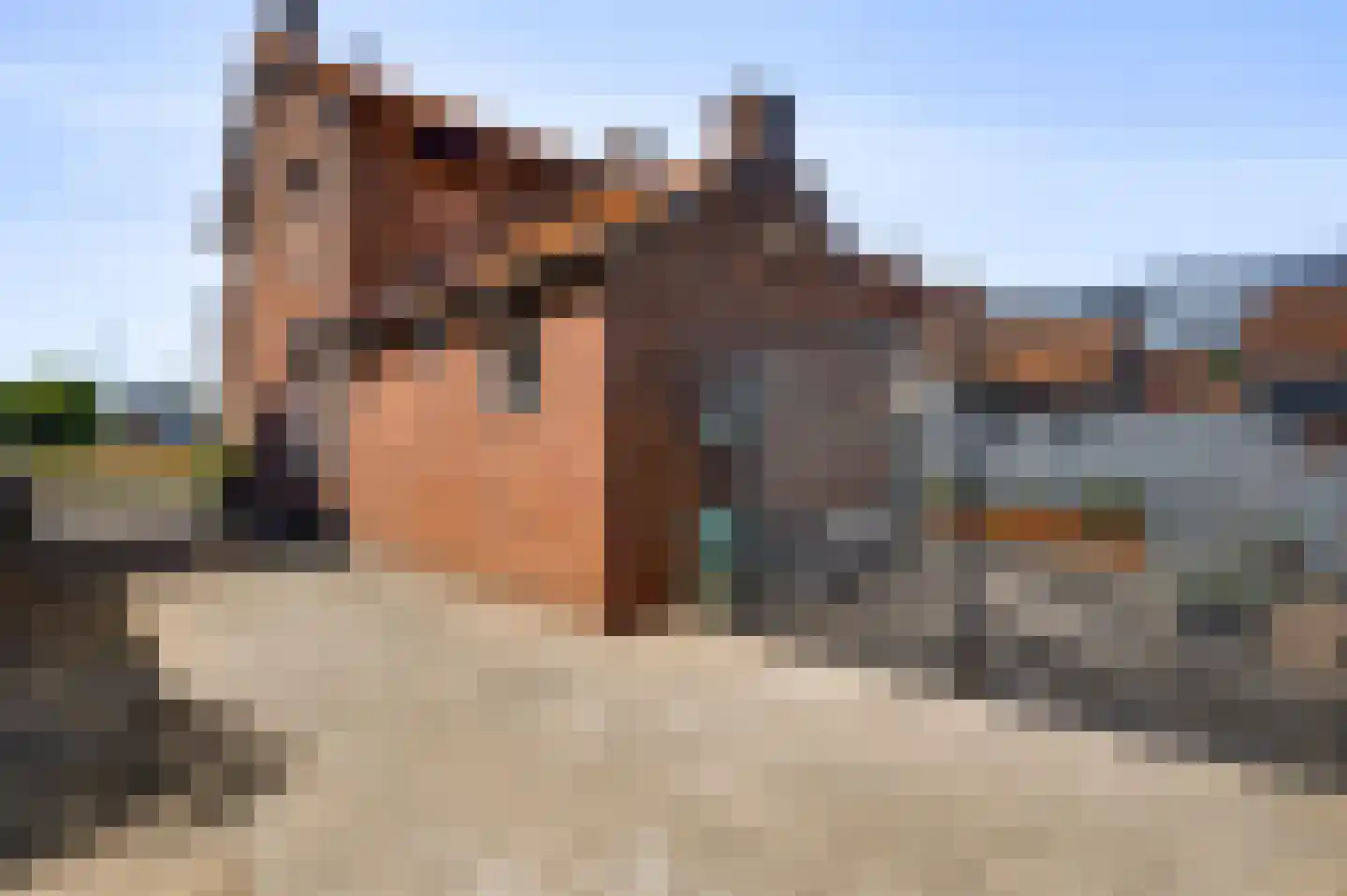 Europalaan-Oost 50 Herkenbosch thumbnail 36