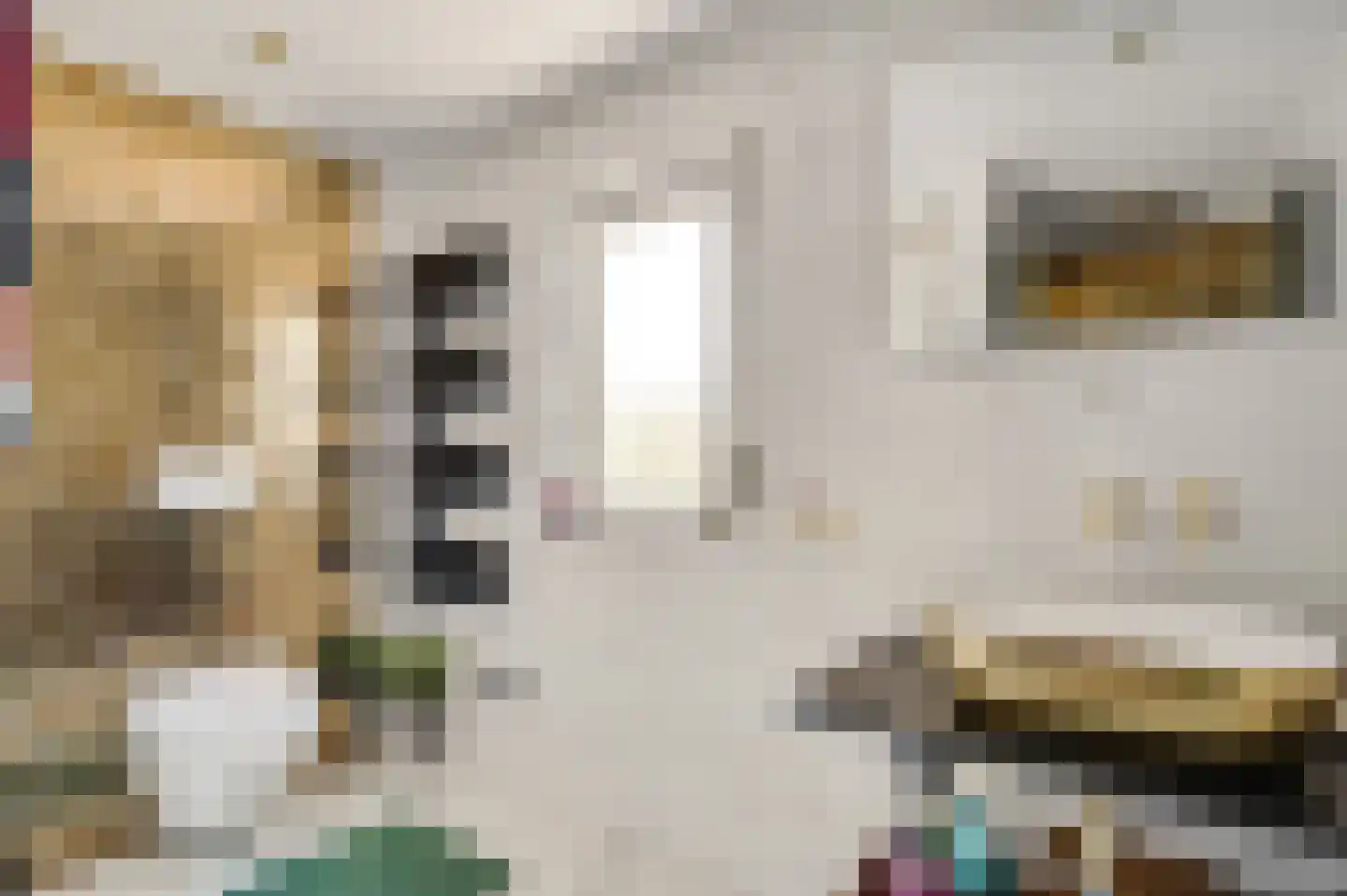 Europalaan-Oost 50 Herkenbosch thumbnail 4