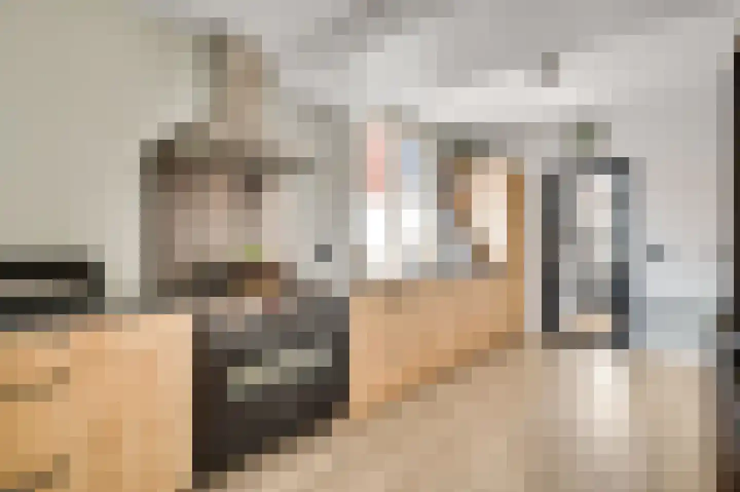 Europalaan-Oost 50 Herkenbosch thumbnail 8