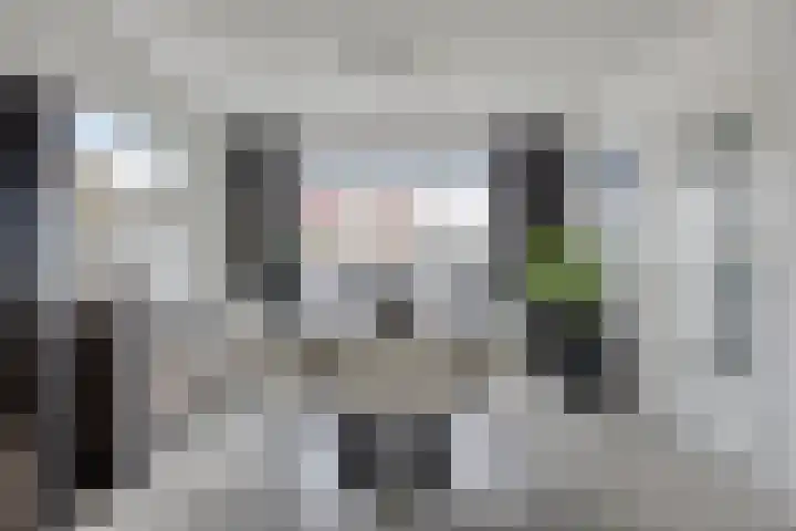 Europalaan-Oost 7 Herkenbosch thumbnail 10