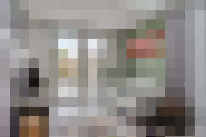 Europalaan-Oost 7 Herkenbosch thumbnail 11