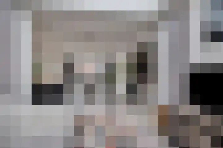 Europalaan-Oost 7 Herkenbosch thumbnail 12