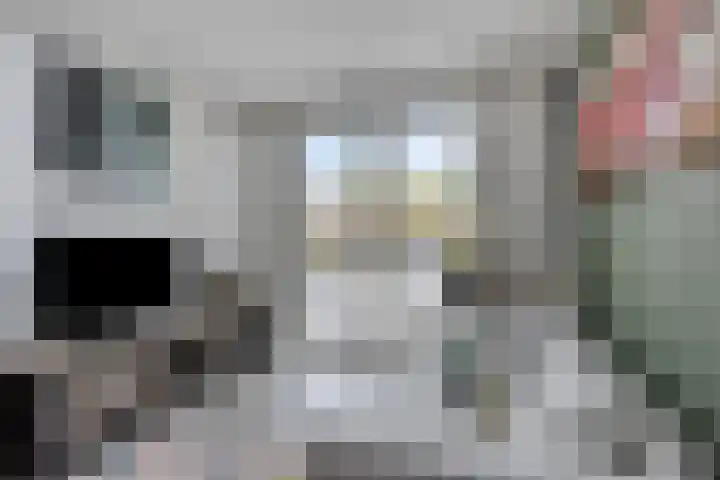 Europalaan-Oost 7 Herkenbosch thumbnail 13