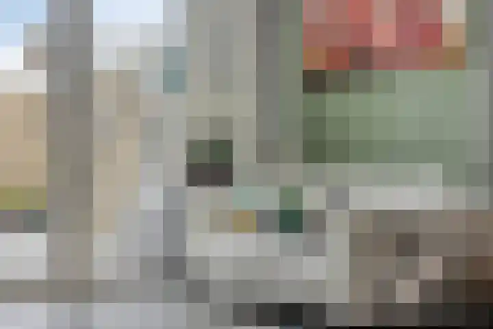 Europalaan-Oost 7 Herkenbosch thumbnail 15