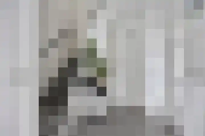 Europalaan-Oost 7 Herkenbosch thumbnail 19