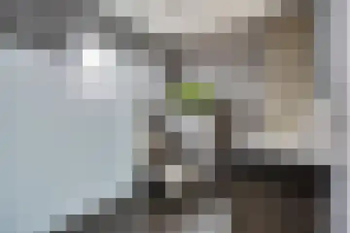 Europalaan-Oost 7 Herkenbosch thumbnail 21