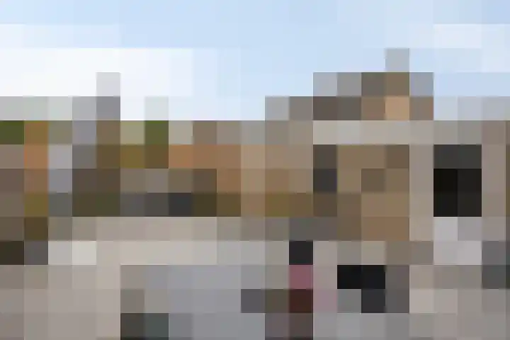 Europalaan-Oost 7 Herkenbosch thumbnail 26
