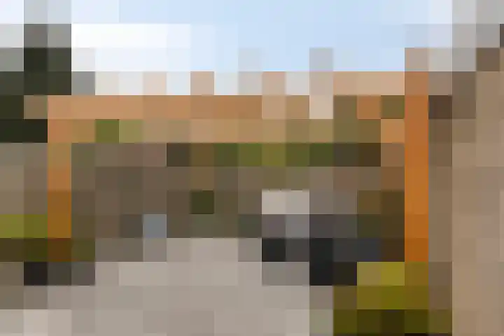 Europalaan-Oost 7 Herkenbosch thumbnail 27