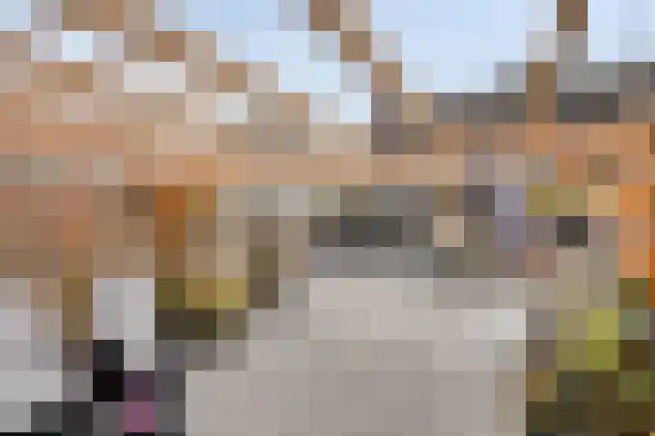 Europalaan-Oost 7 Herkenbosch thumbnail 28