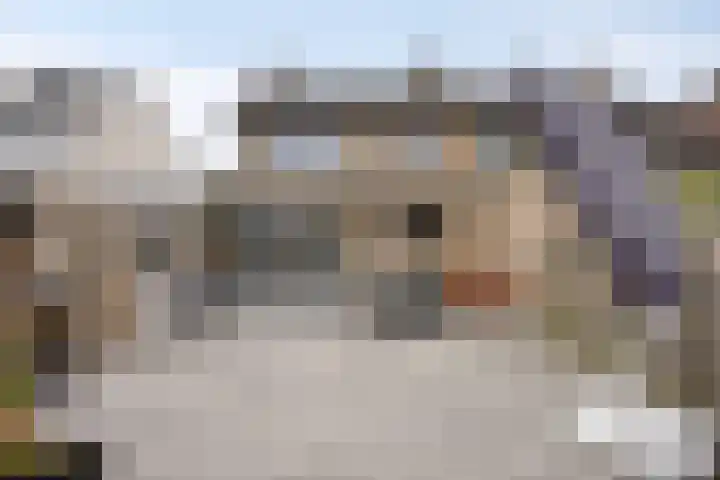Europalaan-Oost 7 Herkenbosch thumbnail 29