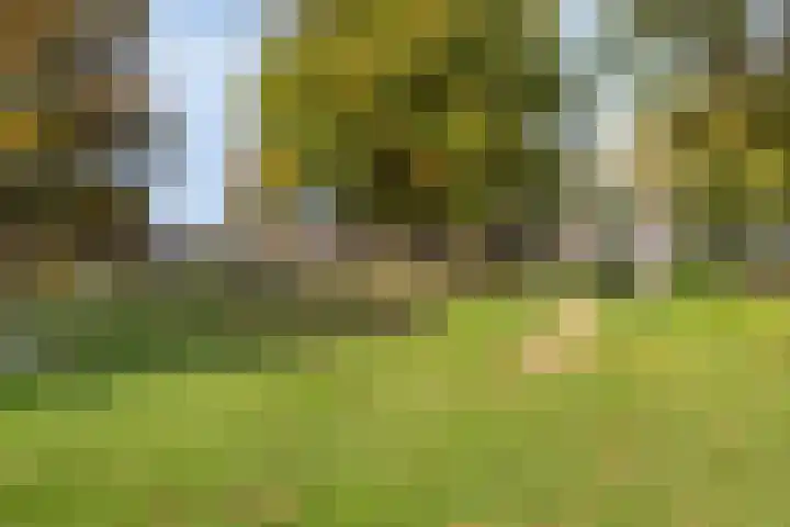 Europalaan-Oost 7 Herkenbosch thumbnail 35