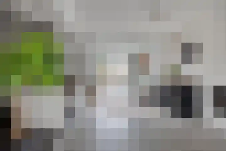 Europalaan-Oost 7 Herkenbosch thumbnail 4