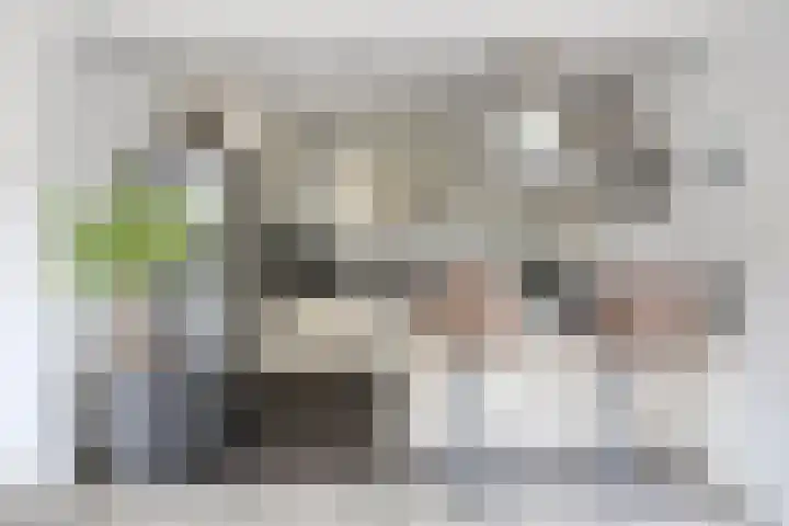 Europalaan-Oost 7 Herkenbosch thumbnail 6