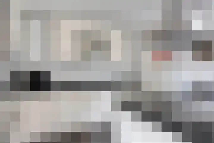 Europalaan-Oost 7 Herkenbosch thumbnail 7
