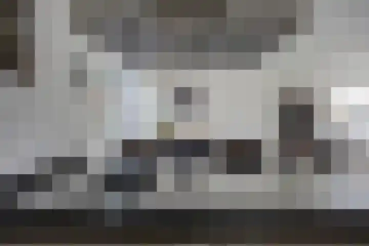 Europalaan-Oost 7 Herkenbosch thumbnail 8