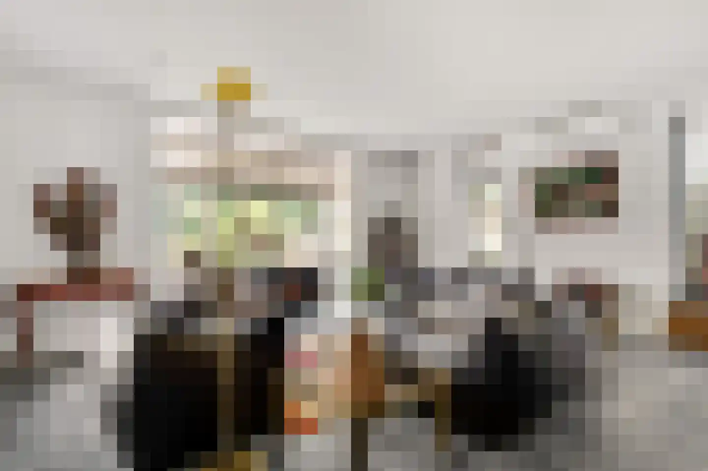 Europalaan-Oost 74 Herkenbosch thumbnail 12