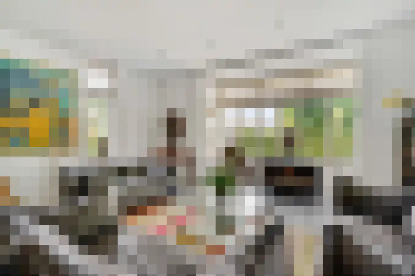 Europalaan-Oost 74 Herkenbosch thumbnail 13