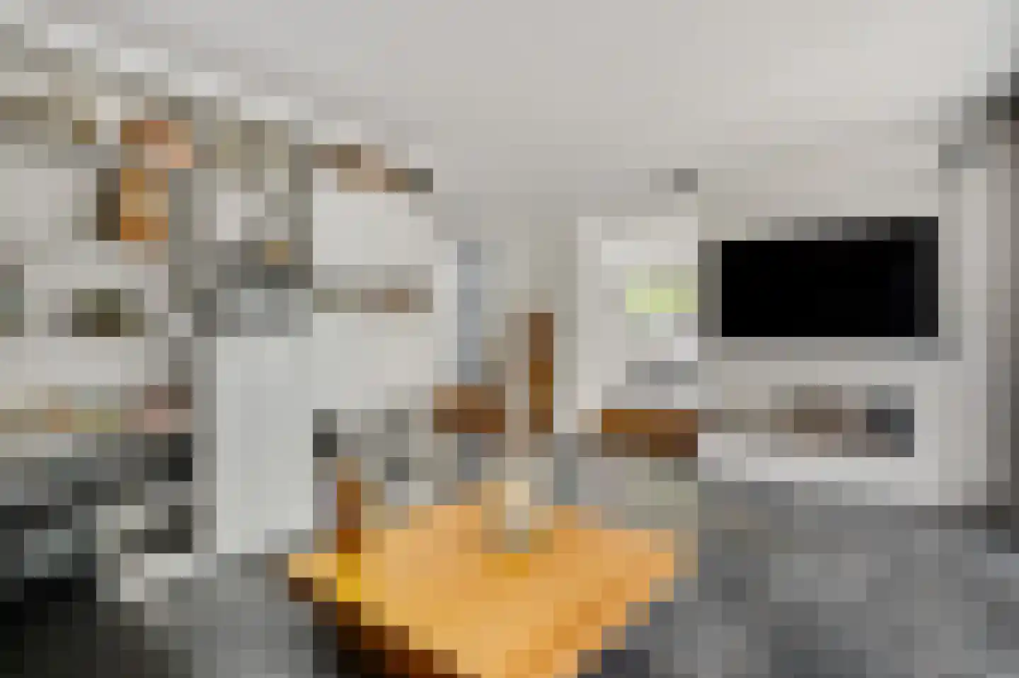 Europalaan-Oost 74 Herkenbosch thumbnail 17