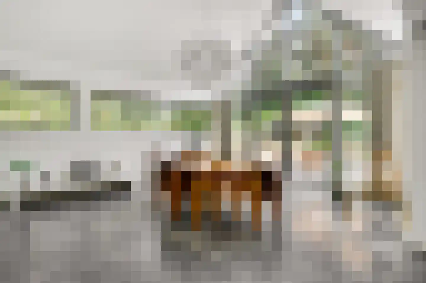 Europalaan-Oost 74 Herkenbosch thumbnail 19