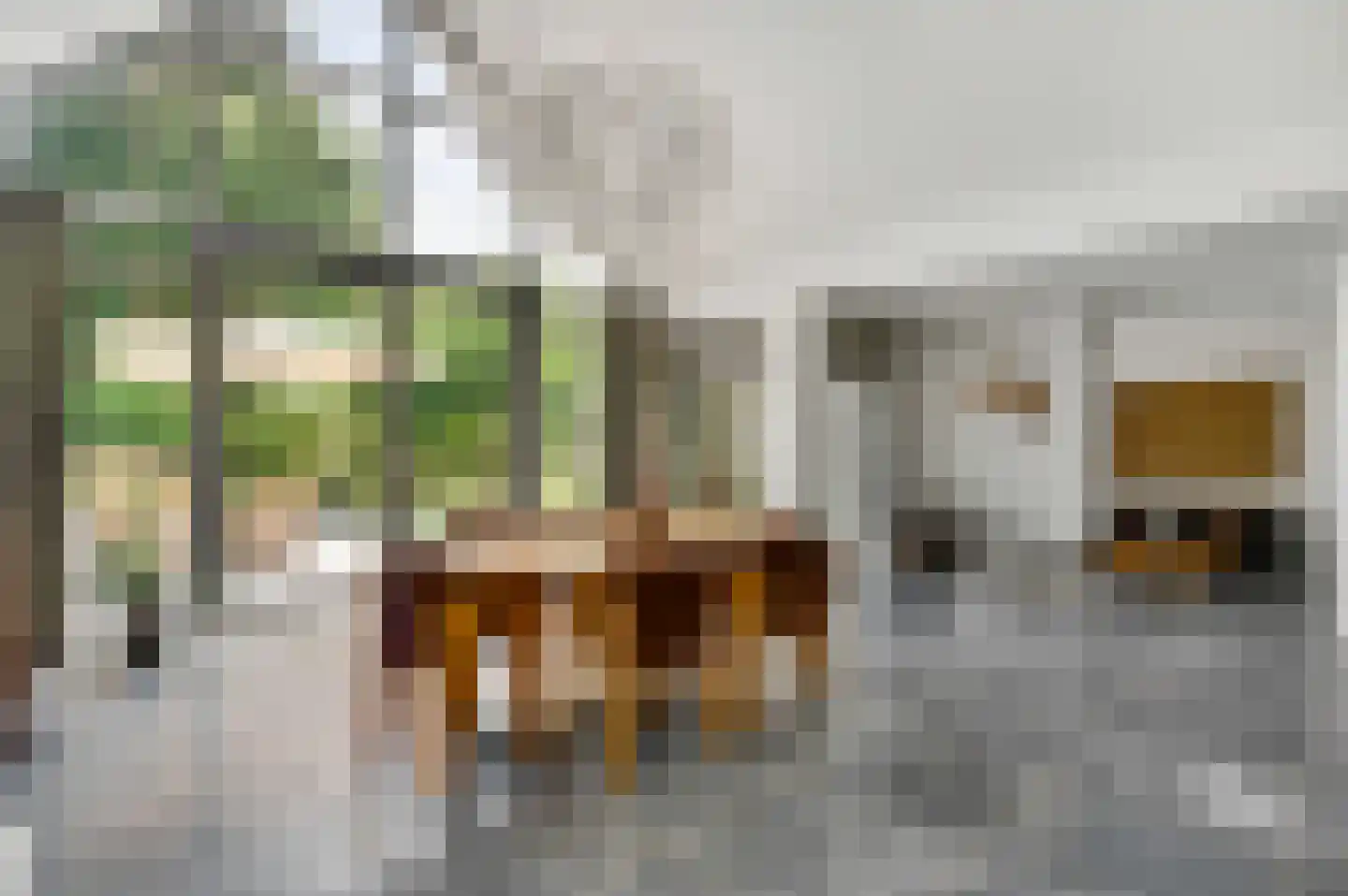 Europalaan-Oost 74 Herkenbosch thumbnail 20