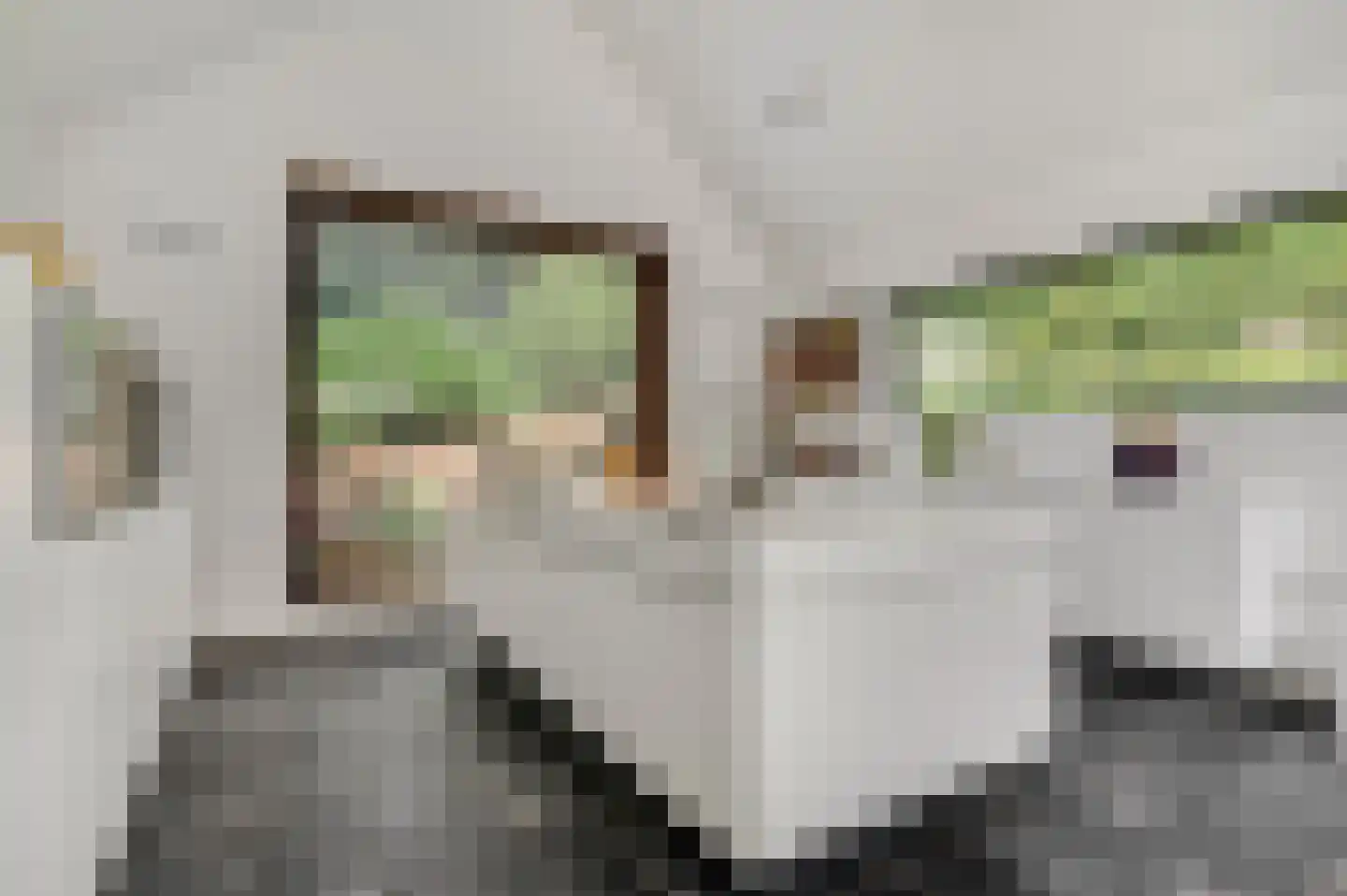 Europalaan-Oost 74 Herkenbosch thumbnail 23