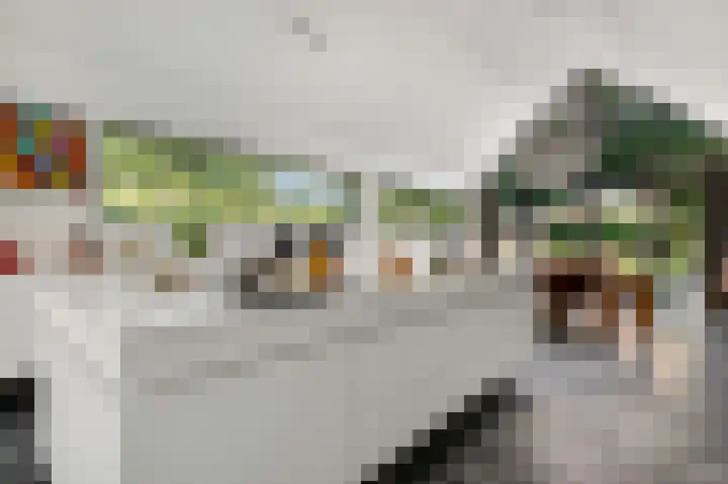 Europalaan-Oost 74 Herkenbosch thumbnail 25