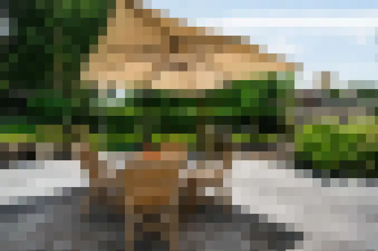 Europalaan-Oost 74 Herkenbosch thumbnail 27