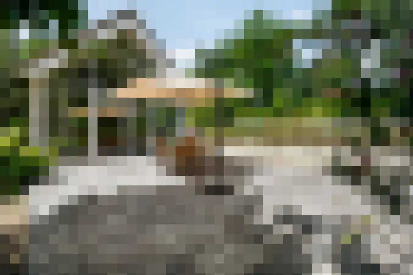 Europalaan-Oost 74 Herkenbosch thumbnail 28