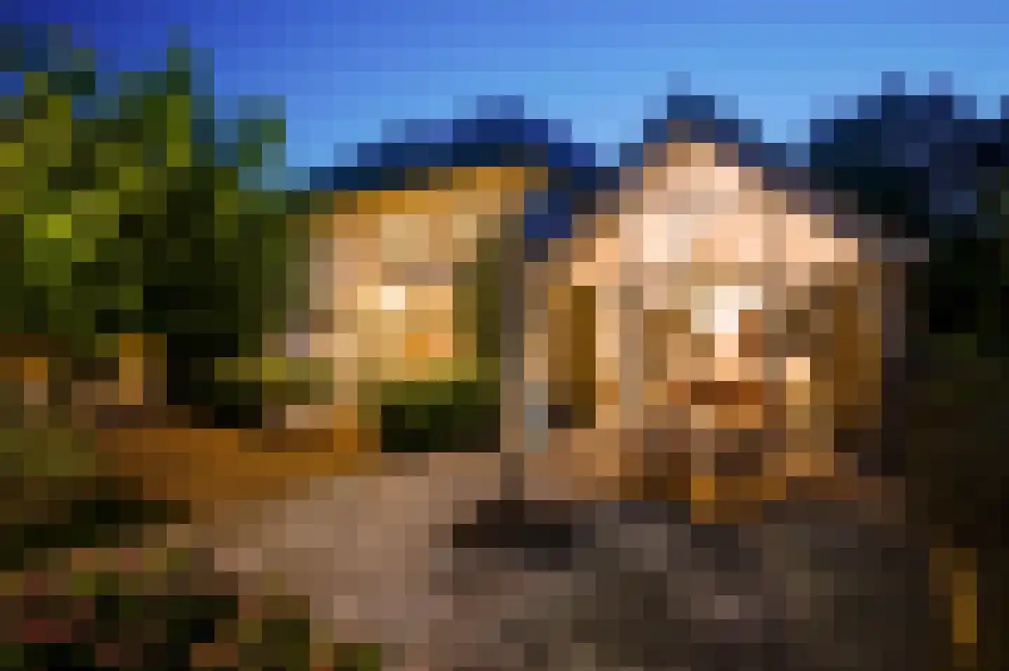 Europalaan-Oost 74 Herkenbosch thumbnail 30