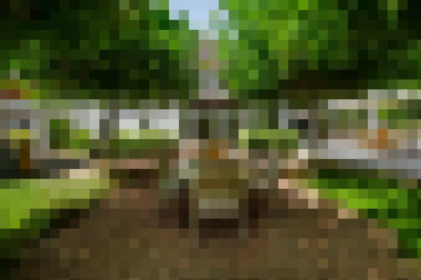 Europalaan-Oost 74 Herkenbosch thumbnail 34