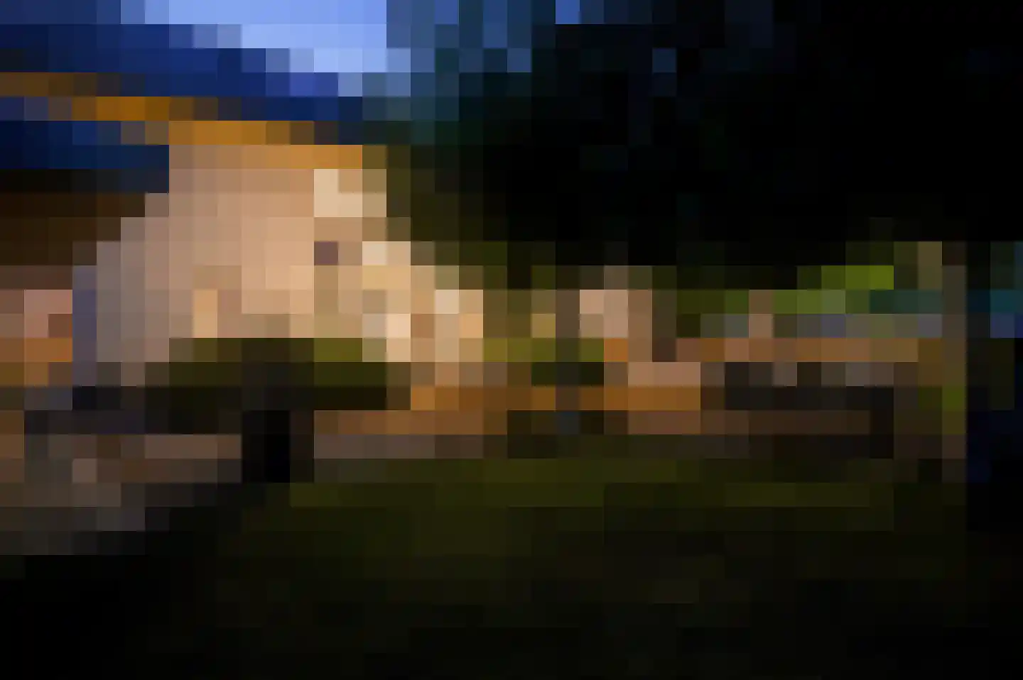 Europalaan-Oost 74 Herkenbosch thumbnail 37