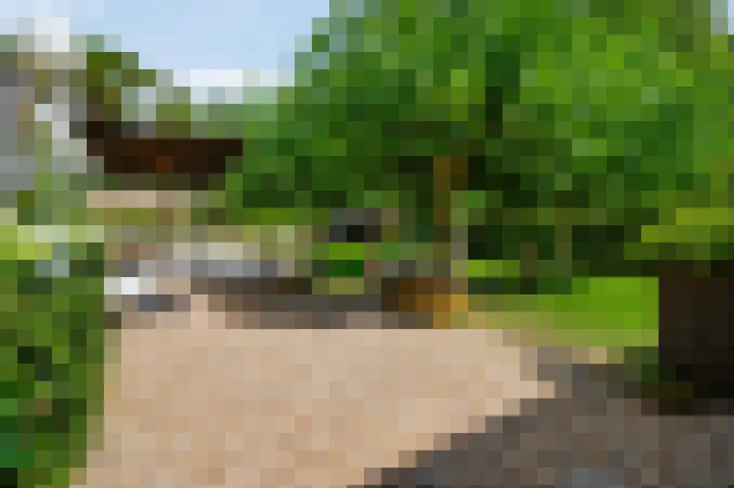 Europalaan-Oost 74 Herkenbosch thumbnail 39