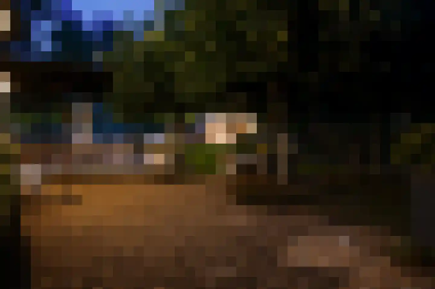 Europalaan-Oost 74 Herkenbosch thumbnail 40