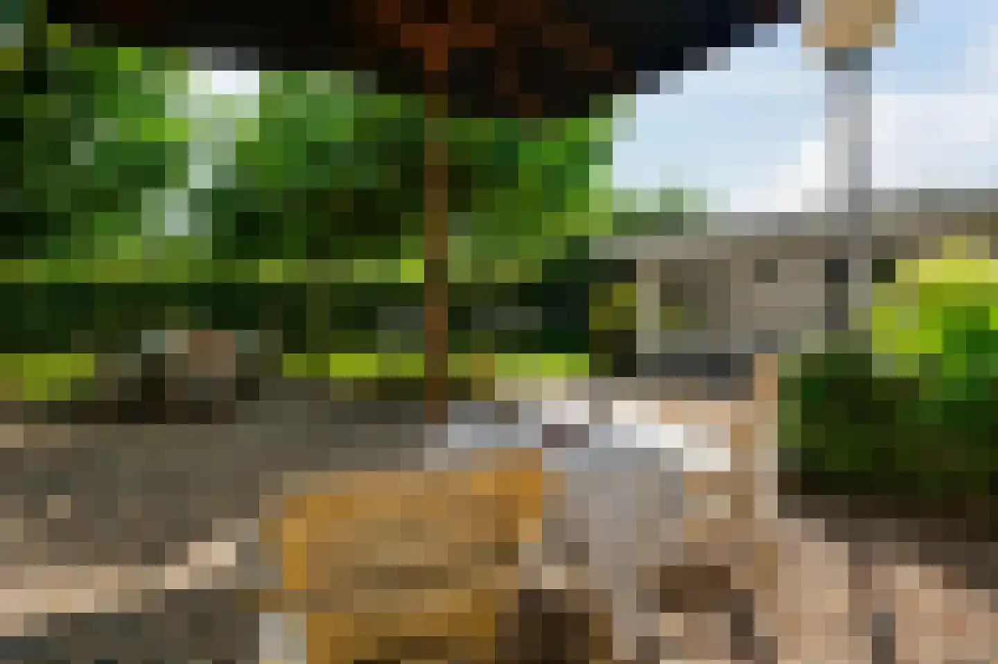 Europalaan-Oost 74 Herkenbosch thumbnail 41