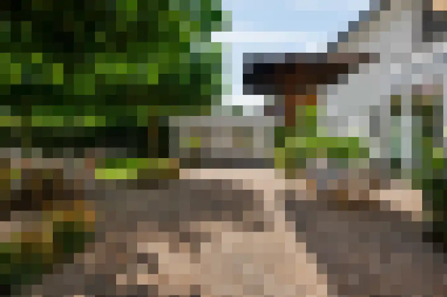 Europalaan-Oost 74 Herkenbosch thumbnail 42