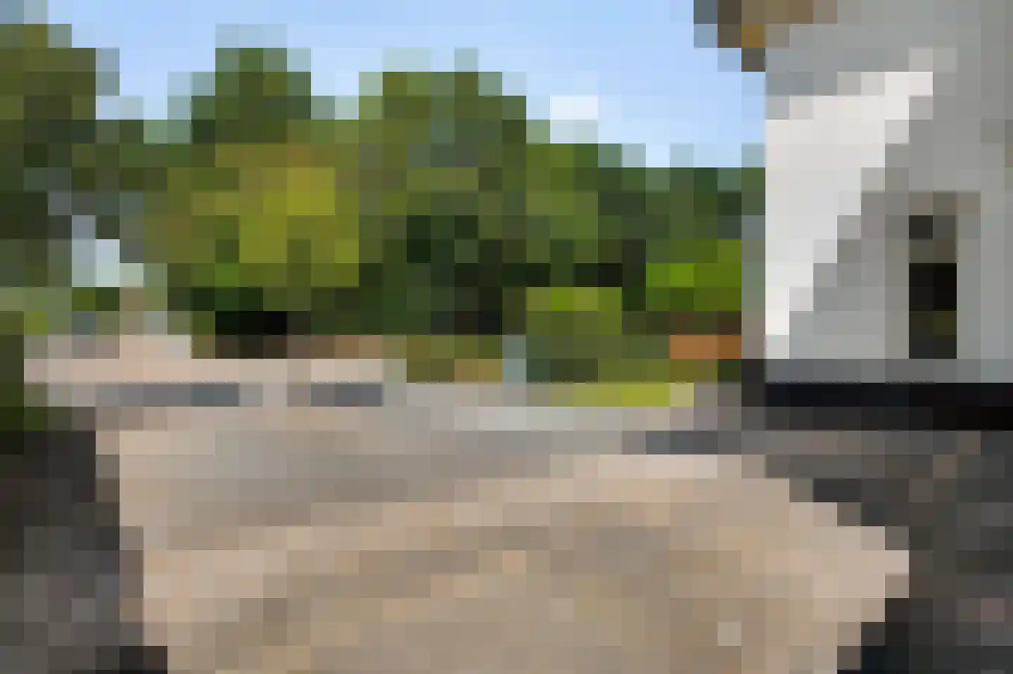 Europalaan-Oost 74 Herkenbosch thumbnail 6