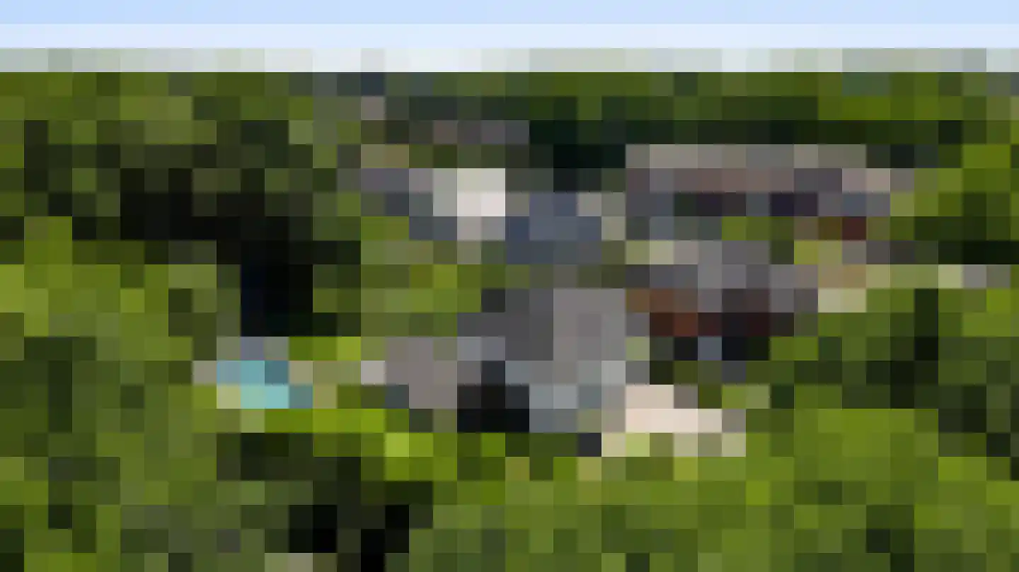 Europalaan-Oost 74 Herkenbosch thumbnail 81