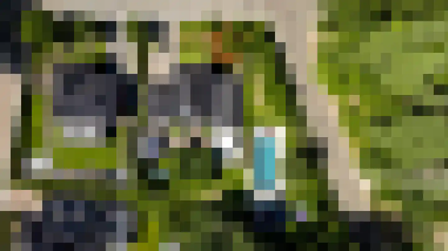 Europalaan-Oost 74 Herkenbosch thumbnail 84