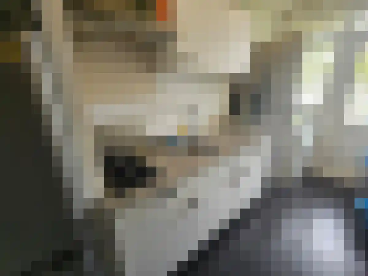 Europalaan Tilburg thumbnail 6