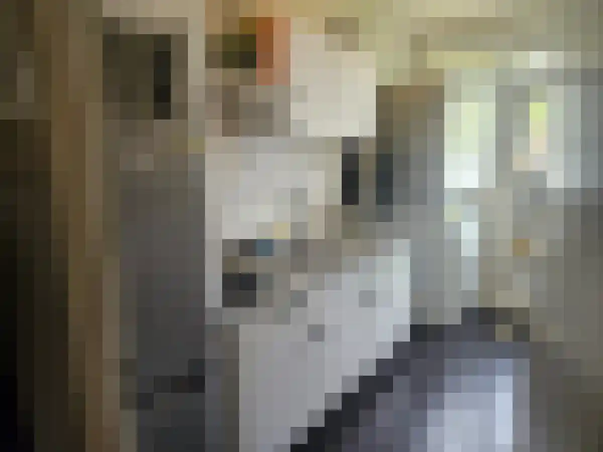 Europalaan Tilburg thumbnail 6