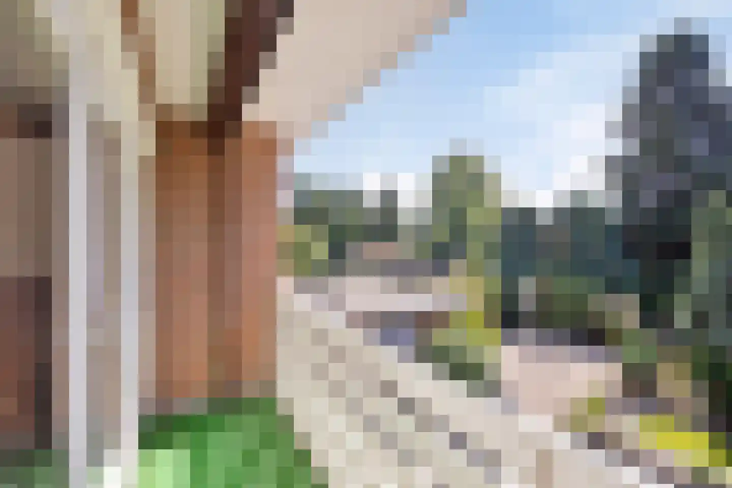 Europalaan-West 27 Herkenbosch thumbnail 19