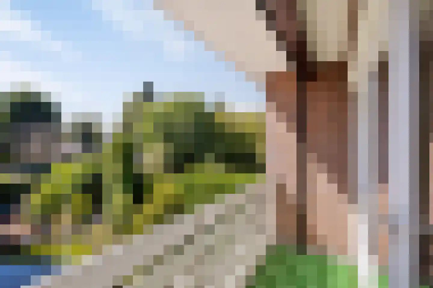 Europalaan-West 27 Herkenbosch thumbnail 20