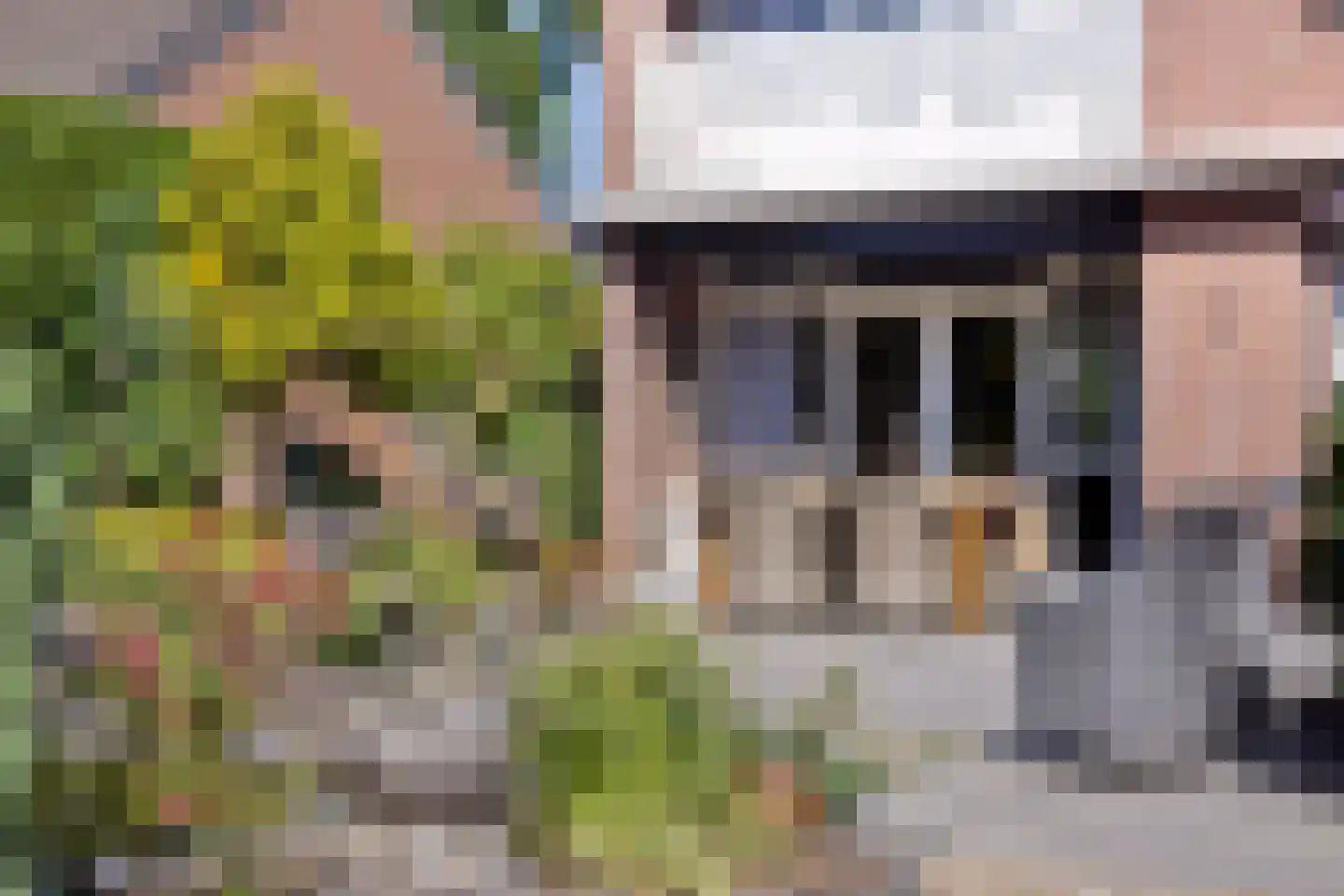 Europalaan-West 27 Herkenbosch thumbnail 25