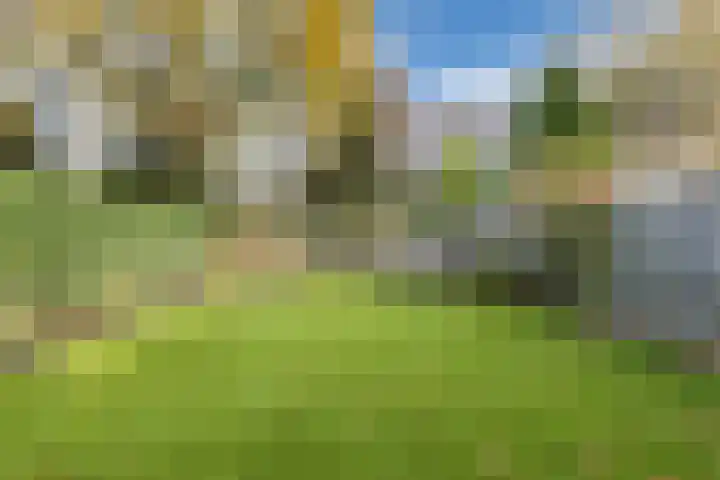 Europalaan-Zuid 115 Budel thumbnail 33
