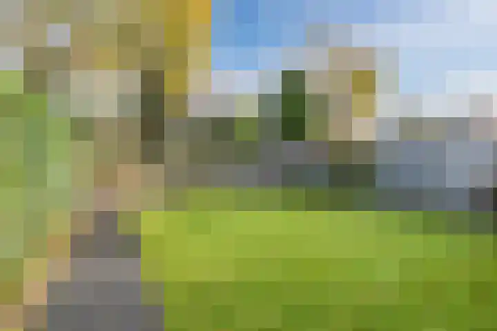 Europalaan-Zuid 115 Budel thumbnail 34