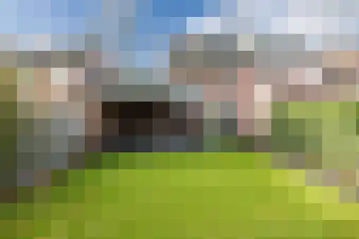 Europalaan-Zuid 115 Budel thumbnail 35