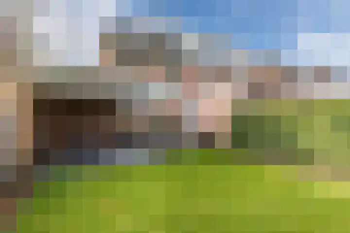 Europalaan-Zuid 115 Budel thumbnail 36